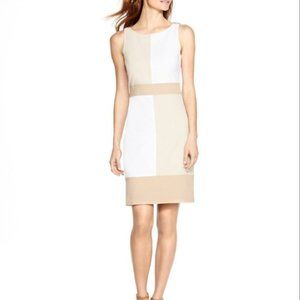 White House Black Market Tan & White Shift Dress